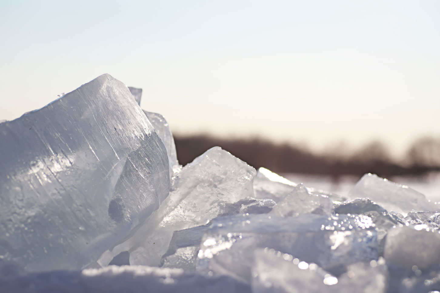 Transparent Shining Clear Ice Icicles Frozen Wild Lakeshore Sunset Light
